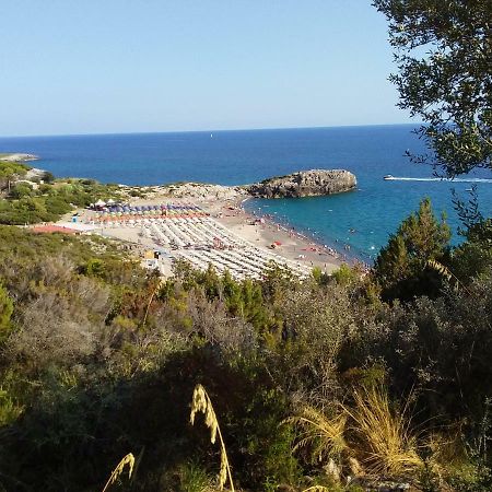 Casa Vacanze Tramonto Apartman Marina di Camerota Kültér fotó